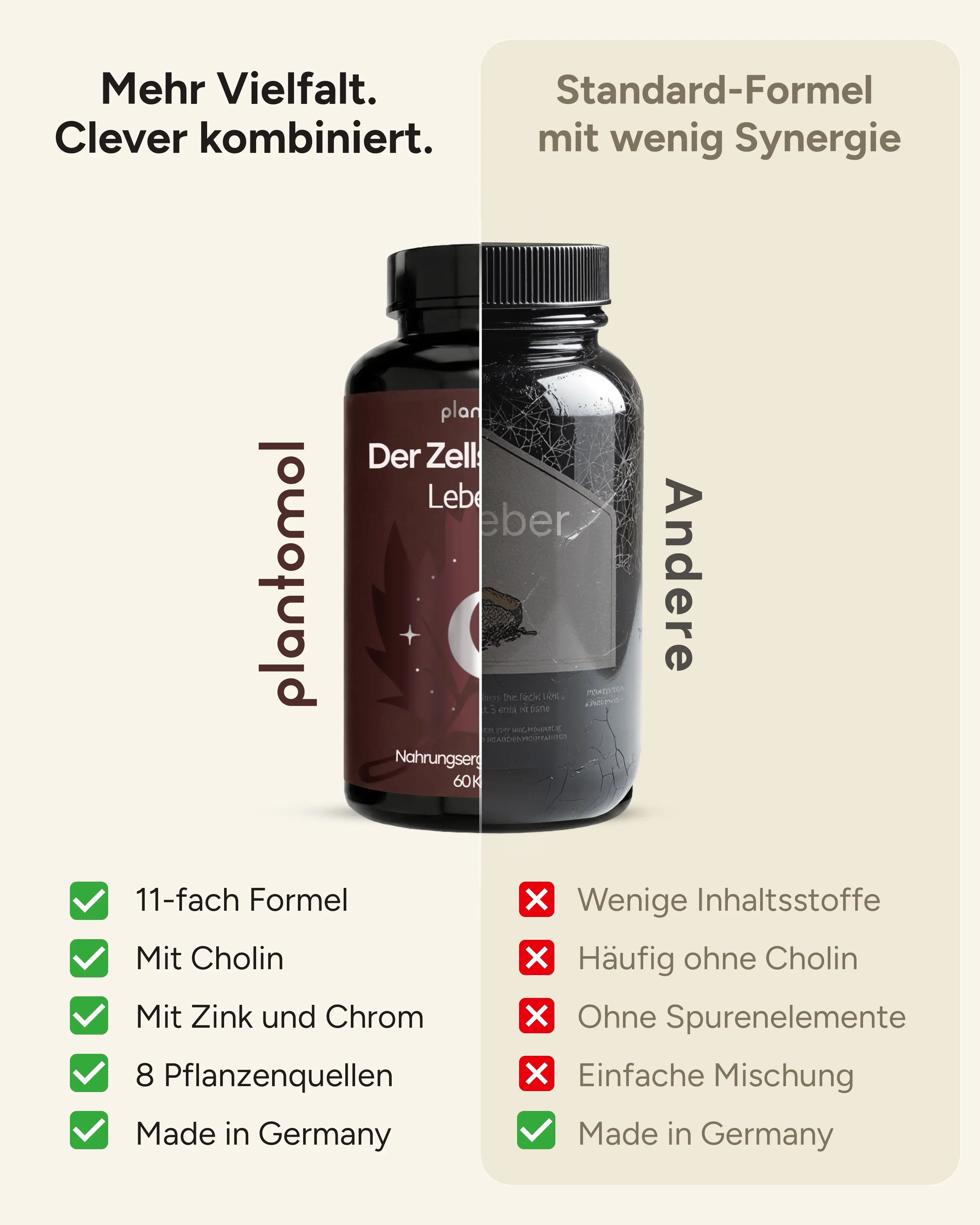 Plantomol Leberkur 2-Phasen-System — Regulator und Zellschützer